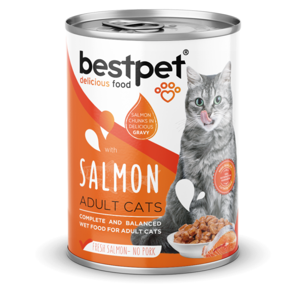 BestPet Adult With Salmon 400g