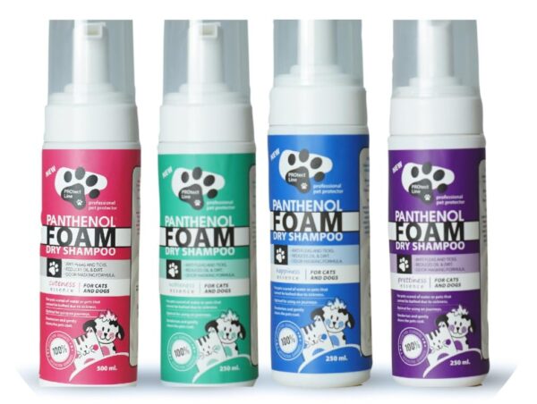 Safeline Foam 250 ML