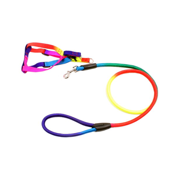 Leash+Harness Rainbow Colour