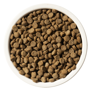 Cat Dry Food